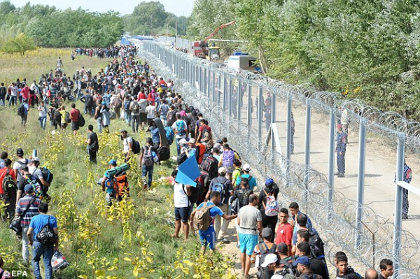 The media has not told you that several countries have closed and fortified their borders with razor sharp concertina wire, especially after the coordinated attacks on Paris raised the red flags of black flag operations.