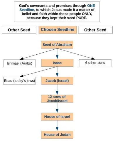 Flowchart of the people that God's covenants and promises pertain to